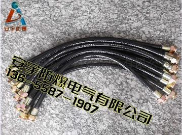 不锈钢网防爆挠性管BNG25-700-G1一内一外